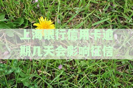 探讨上海银行信用卡逾期对征信记录的具体时长影响