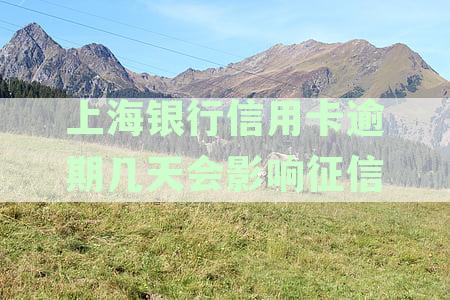 上海银行逾期还款时间及是否会被起诉的探讨