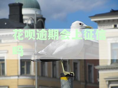 花呗逾期会上征信吗？多久会消失？如何查询和处理？