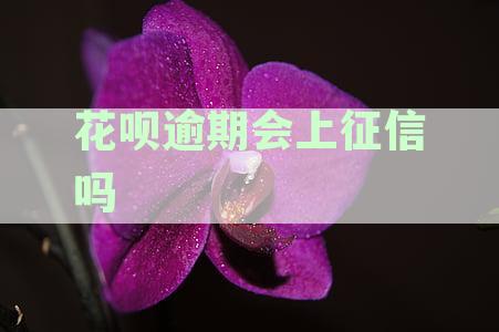 花呗逾期对征信的影响及相关时间节点解读