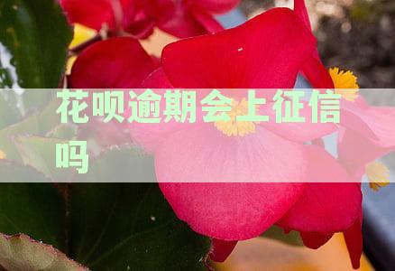 花呗逾期是否会影响个人征信？对购房有何种影响？解答所有疑问