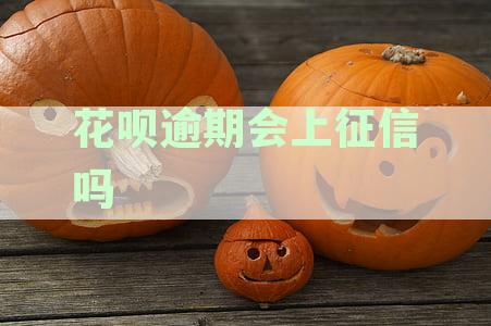 花呗逾期会影响考公务员吗，是否会上征信？