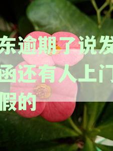 京东逾期未付款将面临律师函警告，如何解决逾期问题并避免法律纠纷？