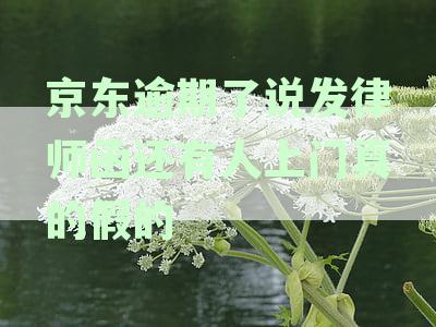 京东逾期了说发律师函还有人上门真的假的