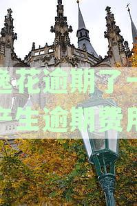 安逸花逾期一天影响大吗：后果、征信、费用及再借问题解答