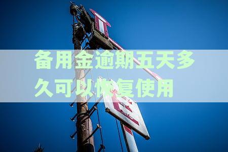 备用金逾期五天后，何时能够恢复正常使用？