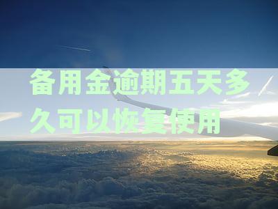 备用金逾期五天后恢复使用所需时间及相关影响全面解析