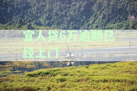 宜人贷6万逾期已经上门