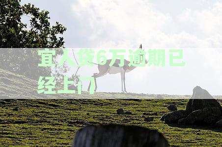 宜人贷6万逾期已经上门