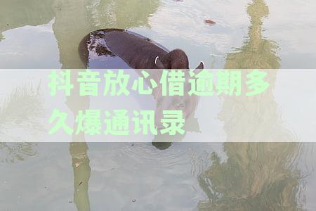 抖音放心借逾期后的惊人后果：你会怎么应对？