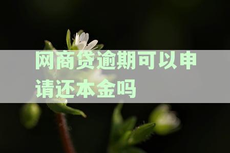 网商贷逾期后，如何通过协商还清所有贷款本金？