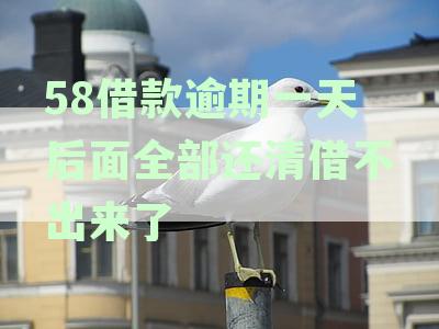 58借款逾期一天后全部还清，但现在无法再次借款，原因何在？如何解决？