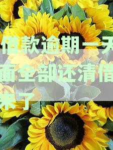 金融借款逾期一天是否会导致征信记录受损？不会上征信的真相揭秘