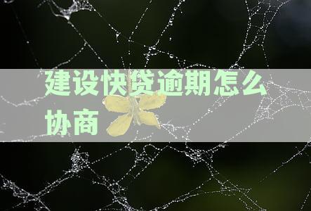 建设快贷逾期还款协商全攻略：本金、利息、罚息等相关问题解答，附贴吧讨论
