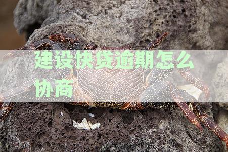 建设银行信用卡逾期协商电话：解决还款难题