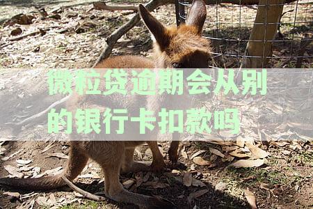 微粒贷逾期后，银行卡扣款顺序及方式详细解析，确保您的资金安全