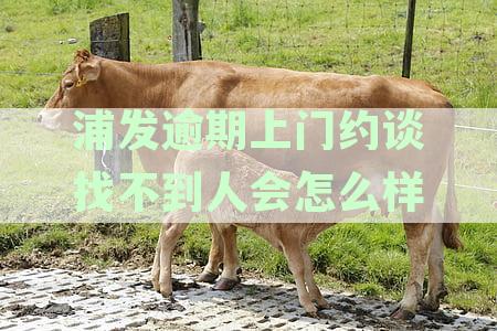 浦发逾期上门约谈找不到人后果及处理方法全面解析，助您妥善应对逾期问题
