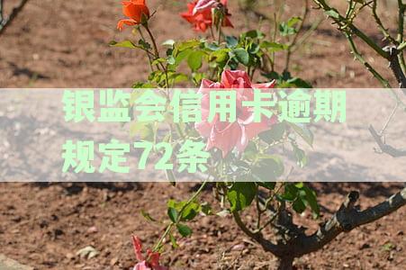 银监会管理条例信用卡逾期与还款规定：2020年最新监管政策详解