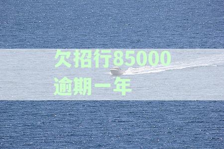 欠招行85000逾期一年