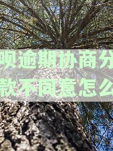 花呗逾期可否协商分期还款？如何操作？多久能完成？