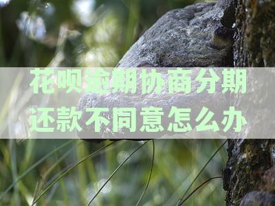 花呗逾期协商分期还款不同意怎么办
