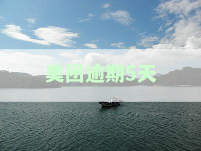 美团逾期5天