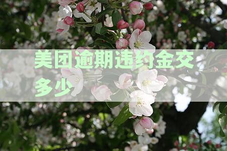 美团违约金相关政策全面解析：费用计算、退款流程与可能的免责情形