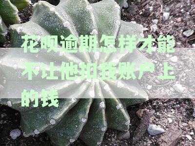 花呗逾期如何禁止自动从银行卡扣款