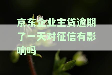京东企业主贷逾期一天：对个人信用评估的影响及解决方法