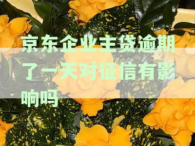 京东企业主贷逾期一天：征信受损程度、解决方法和恢复时间全解析