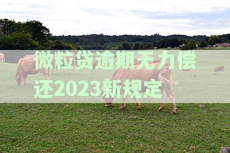 微粒贷逾期无力偿还的2023新规定：如何应对、期还款及影响分析