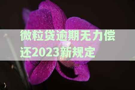 微粒贷逾期无力偿还2023新规定怎么办？最新解决办法一览