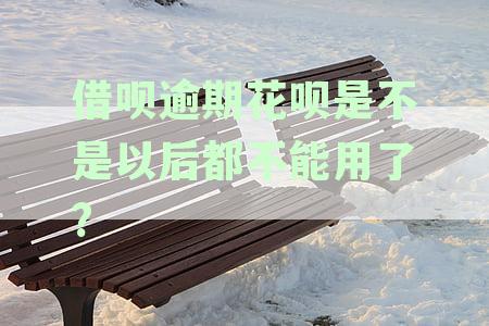 借呗逾期花呗是不是以后都不能用了呢-借呗逾期花呗是不是以后都不能用了?