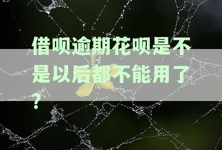 借呗逾期花呗是不是以后都不能用了?