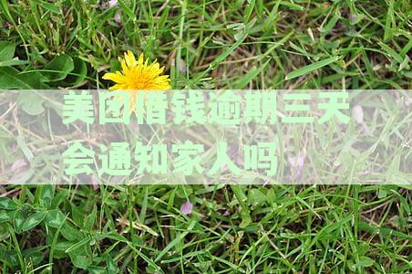 美团借钱逾期三天：家人是否会接到电话催收？