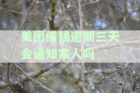 美团借钱逾期3天，我该怎么办？可能会遇到什么后果？