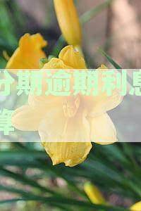 来分期逾期久了还款会免息吗？安全吗？如何处理？