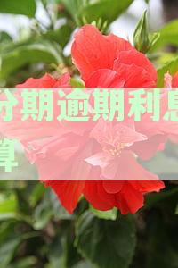 分期付款逾期还款的严重性与影响分析：如何避免不必要的后果？