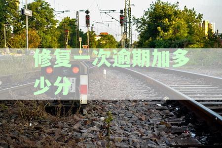 逾期修复次数：信用记录修复的可行性探讨