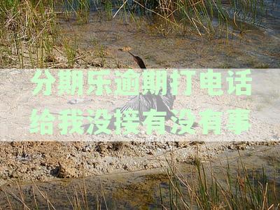 分期乐逾期未接电话可能面临的后果及解决办法