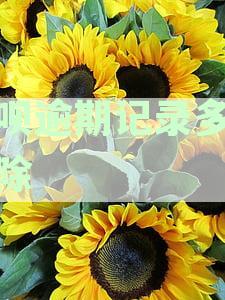 花呗逾期记录多久可以消除？