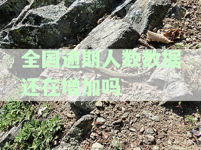 中国2021年信用卡逾期人数统计：负债压力下的应对策略分析
