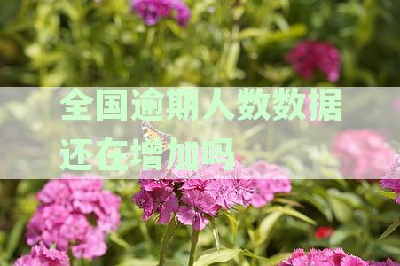 全国逾期人数2020年统计数据：了解逾期状况、原因及应对措