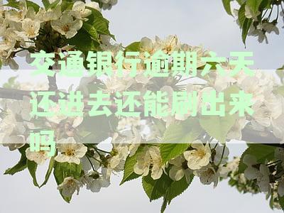 交通银行信用卡逾期六天后还款，信用额度恢复及刷卡使用问题解答