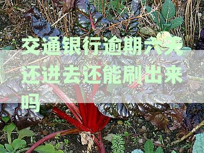 交通银行逾期还款后，六天内还款是否能再次使用信用额度？