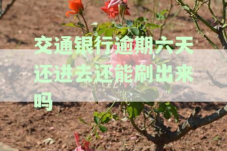 交通银行逾期5天还款是否会影响征信并上报央行？