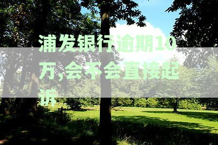 浦发欠款10万，逾期5个月，没钱还怎么办？