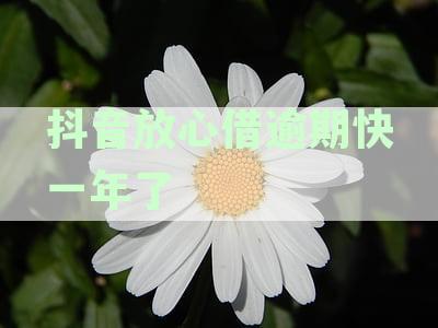 抖音放心借逾期还款影响及征信上报时间全面解析，让您的借款问题一目了然