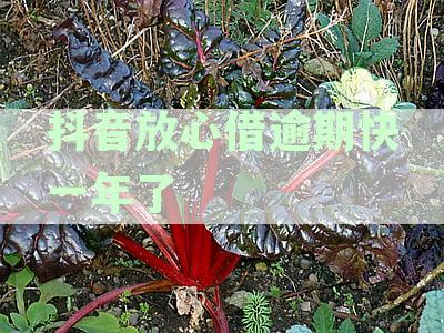 抖音放心借可以期还款吗？