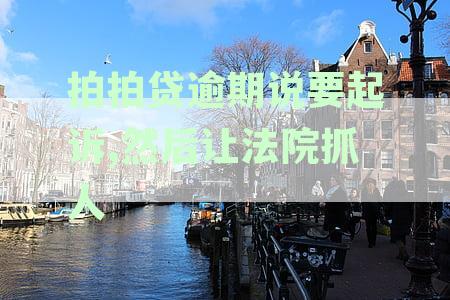 新拍拍贷逾期后可能会面临的法律问题及应对策略，如何避免法院抓人？
